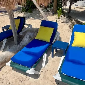 Beachfront Hammock Heaven Apartamento