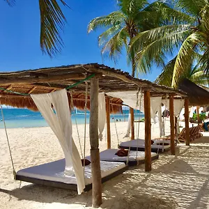 Caribbean Apartamento